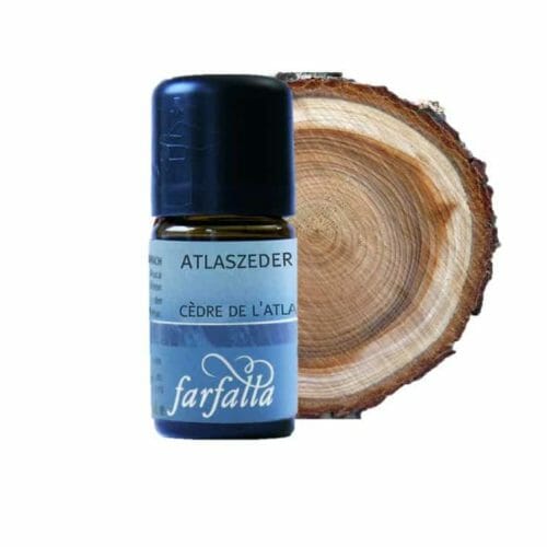 Atlas cedar essential oil. One of the most popular male fragrances - Good against insects, even in dogs - Many special characteristics.
