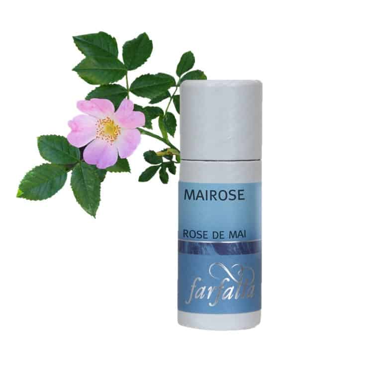 Mairose Absolue Essential Oil of Farfalla
