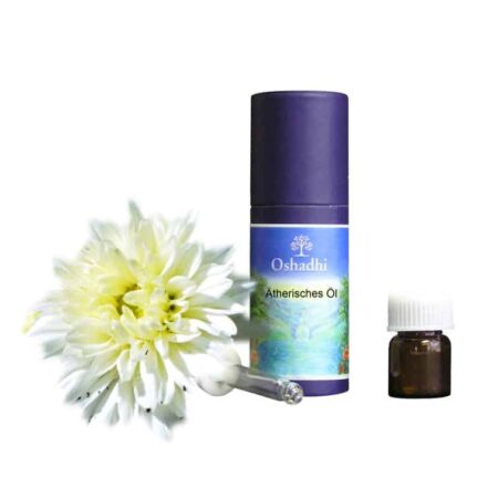 chrysantheme aetherische oel oshadhi