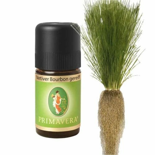 Vetiver Bourbon gereift Ätherisches Öl kennen manche Menschen. Doch Vetiever-Bourbon von Primavera ist einzigartig in der Wirkung und dem Geruch. Dreißig Jahre gelagert - wie alter Whisky enfaltet er seine Kräfte erst jetzt richtig.