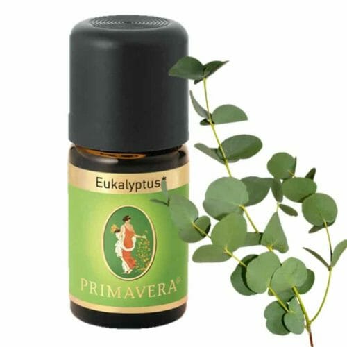 Eukalyptus globulus bio Äterisches Öl von Primavera