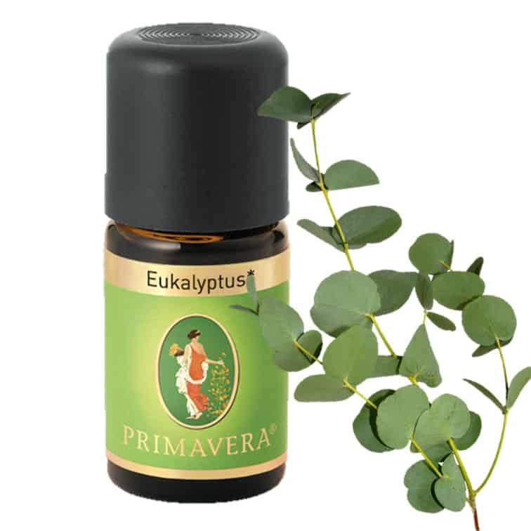 Eucalyptus globulus organic essential oil from Primavera