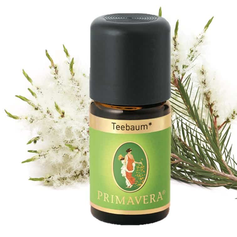 Tea tree organic essential oil Primavera life