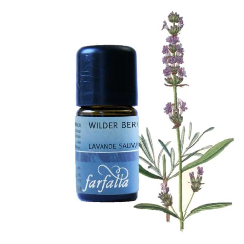 Lavendel bio Wildsammlung aus den Pyrenäen IST NUN MAL EINE RARITÄT UND GEHÖRT IN JEDE HAUSAPOTHEKE!!