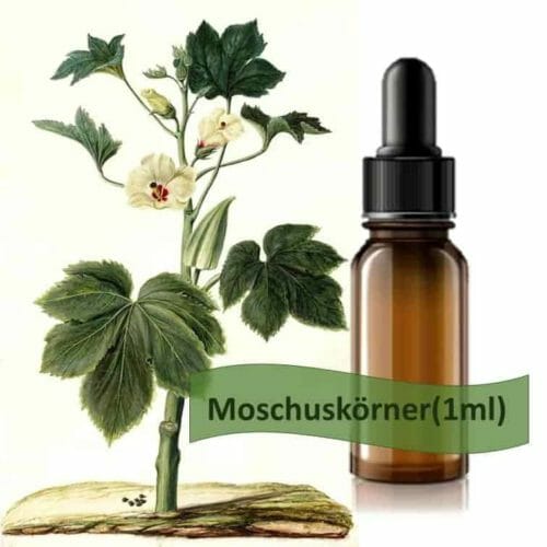 Moschuskörner Ätherisches Öl