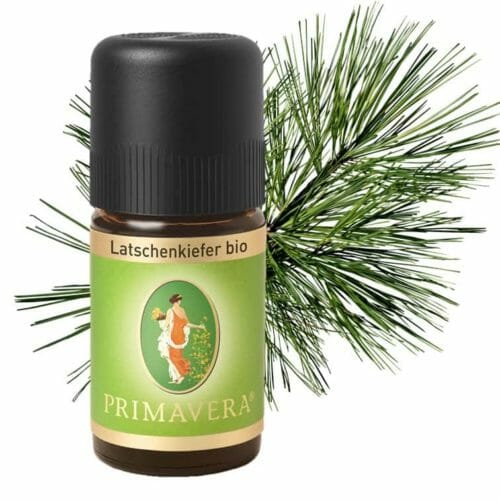 Latschenkiefer bio Ätherisches Öl von Primavera