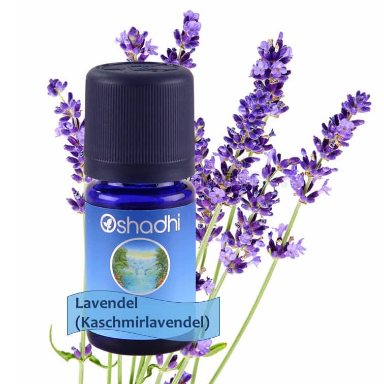 Lavender Himalaya FROM CASHMERE