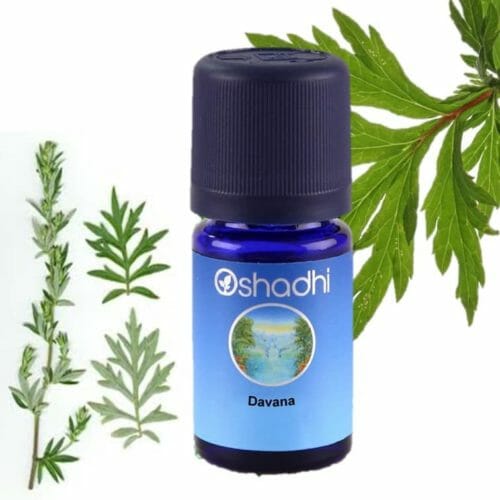 Indian wormwood Davana Oshadhi essential oil