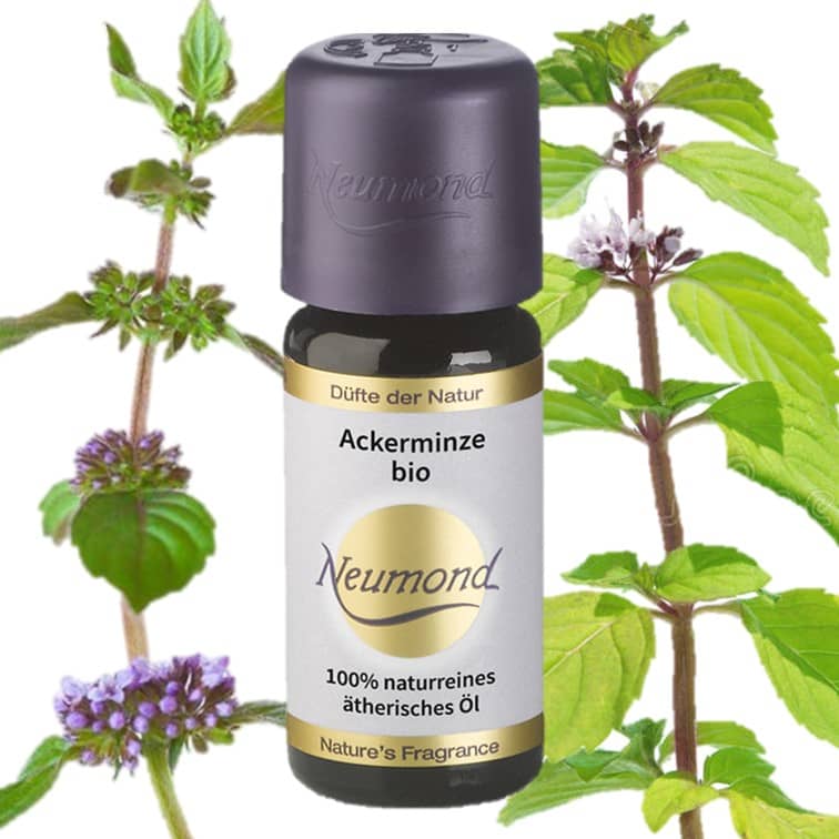 Den Schrank stilvoll aromatisieren: 8 Ackerminze bio Ätherisches Öl
