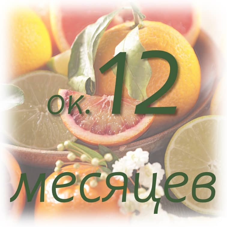 Срок хранения эфирных масел 4 srok-hranenija-jefirnogo-masla-limona-