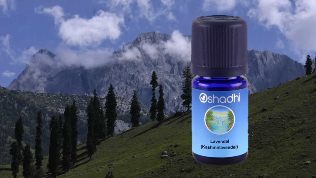 Почему Angeldar выбирает Primavera, Oshadhi, Farfalla и Neumond 3 angeldar oshadhi l min