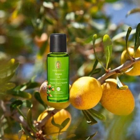 Argan oil bio a base oil from Primavera