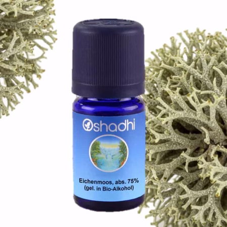 Eichenmoos Absolue 75% ätherisches Öl Oshadhi