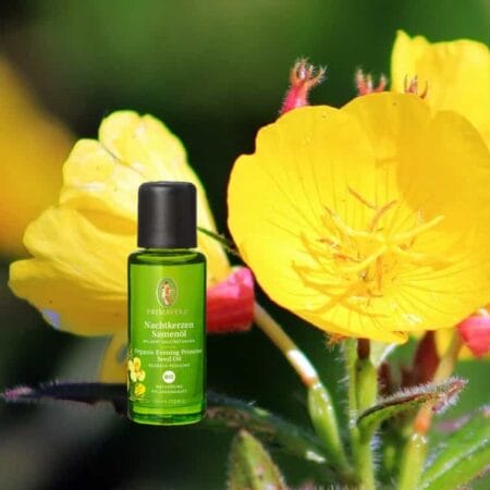 Nachtkerzenรถl bio Basisรถl von Primavera