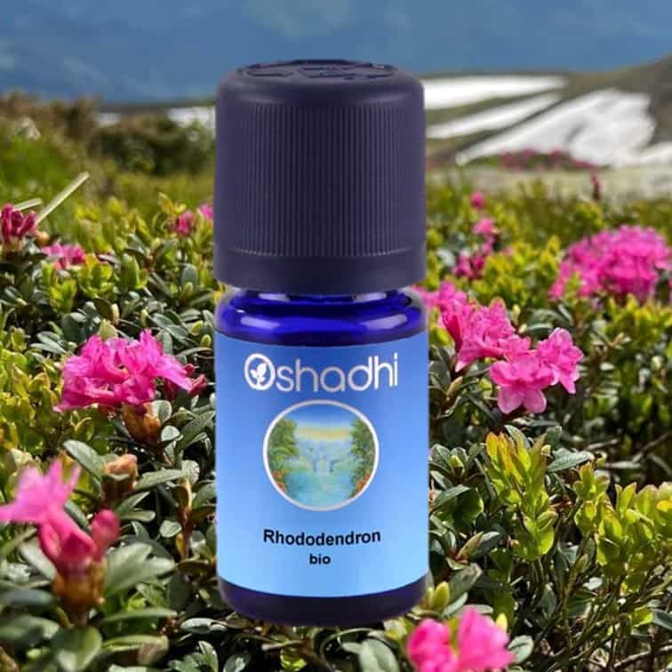 Rhododendron aetherische oel oshadhi f