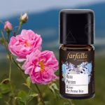 Rose Persien ätherisches Öl bio