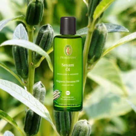 Sesame oil organic a base oil from Primavera