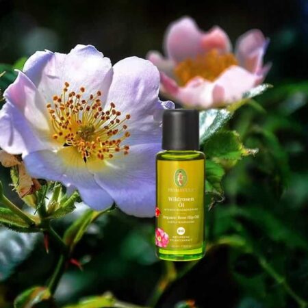 Wild rose oil organic base oil