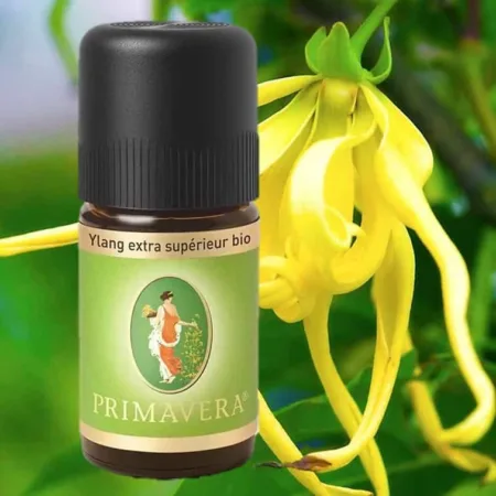 Ylang-Ylang extra superieur bio Ätherisches Öl von Primavera