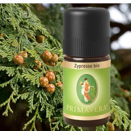 zypresse aetherische oel primavera life